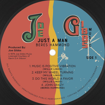 Beres Hammond - Just A Man Vinyl Vinly Record