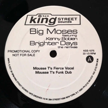 Big Moses Featuring Kenny Bobien - Brighter Days (The Remixes) Vinyl Vinly Record