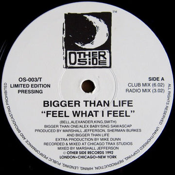 Bigger Than Life - Feel What I Feel / High And Mighty Vinyl Vinly Record