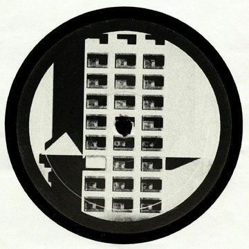 Binary Digit - Never Owned A 303 Vinyl Vinly Record