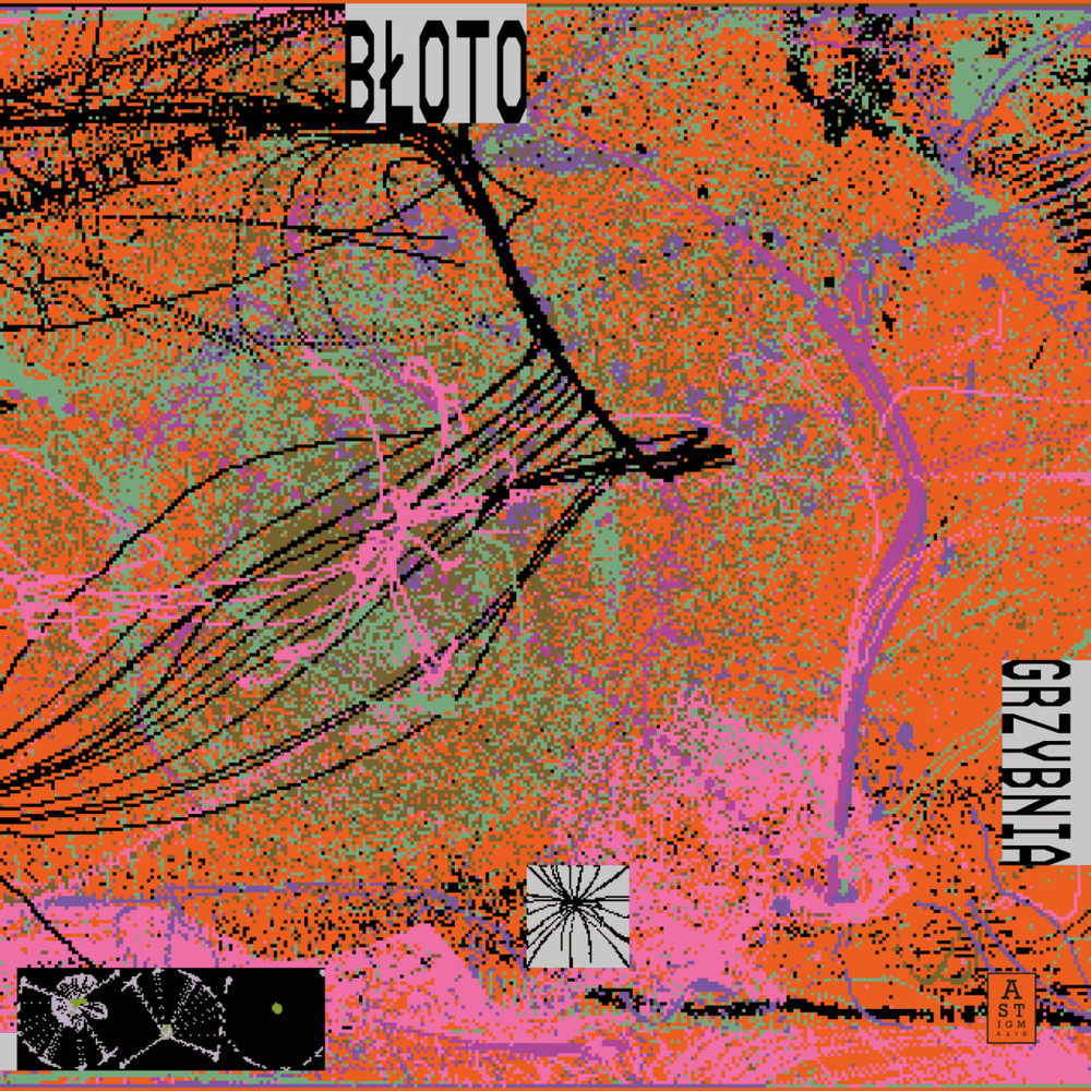 Bloto - Grzybnia Vinyl