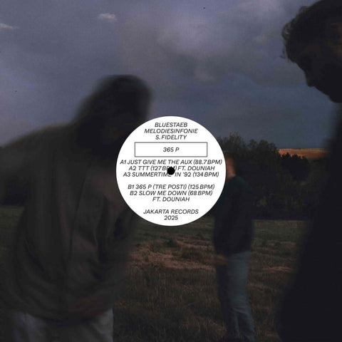 Bluestaeb, Melodiesinfonie & S. Fidelity - 365 P Vinyl - Vinyl Record