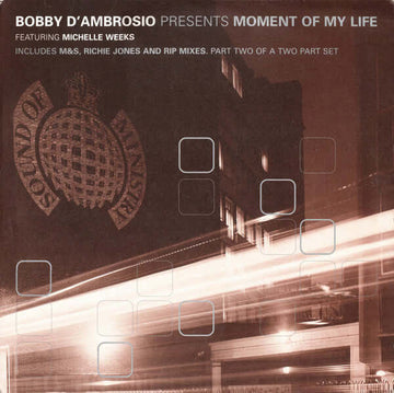 Bobby D'Ambrosio Featuring Michelle Weeks - Moment Of My Life Vinyl Vinly Record