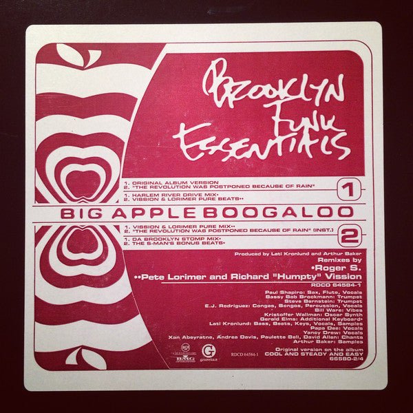 Brooklyn Funk Essentials - Big Apple Boogaloo / The Revolution Was Postponed Because Of Rain