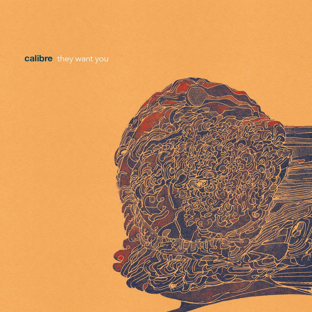 Calibre - They Want You Vinyl