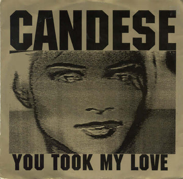 Candese - You Took My Love Vinyl Vinly Record