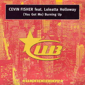 Cevin Fisher Feat. Loleatta Holloway - (You Got Me) Burning Up Vinyl Vinly Record