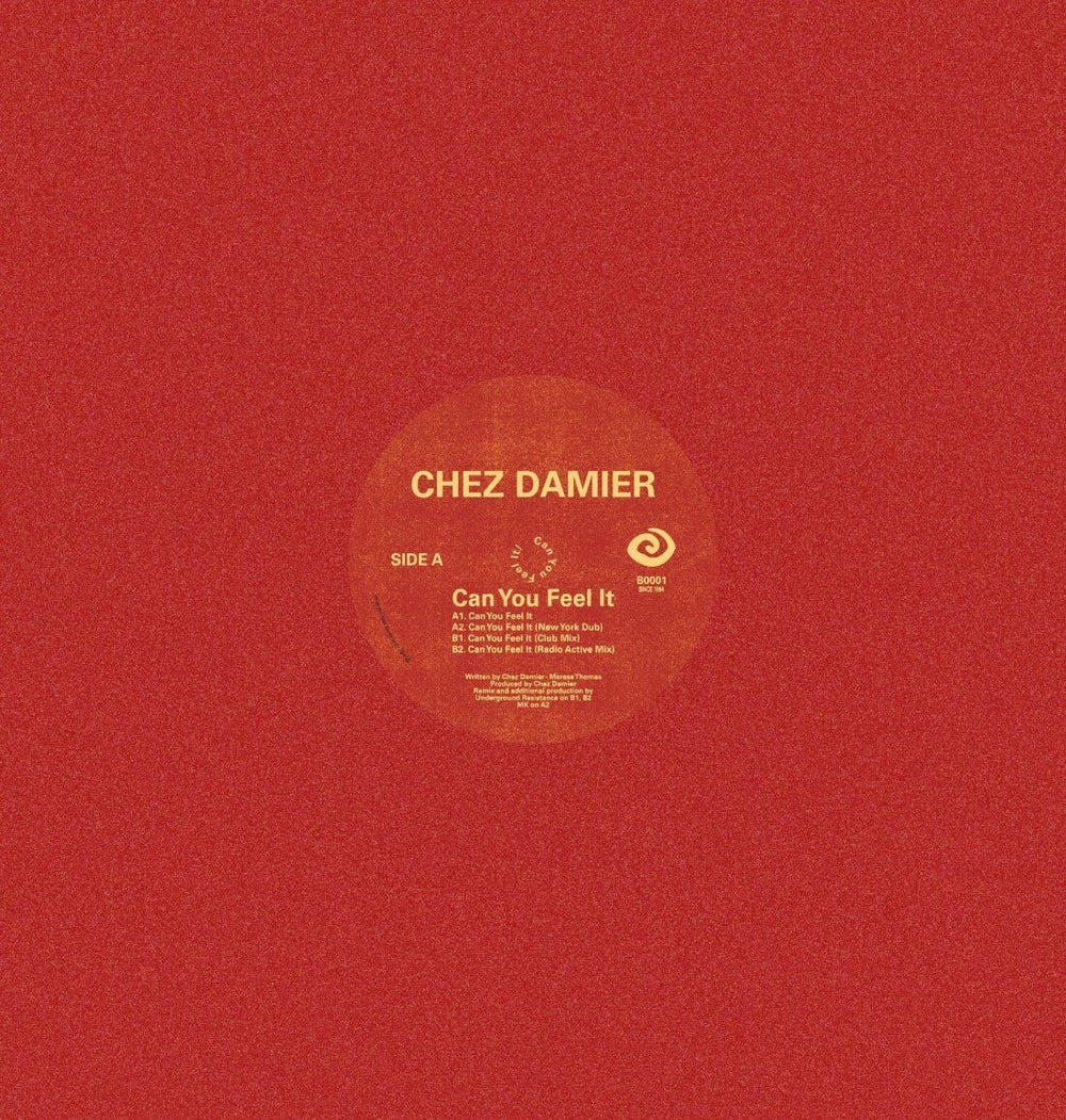 Chez Damier - Can You Feel It (Underground Resistance Remixes) Vinyl