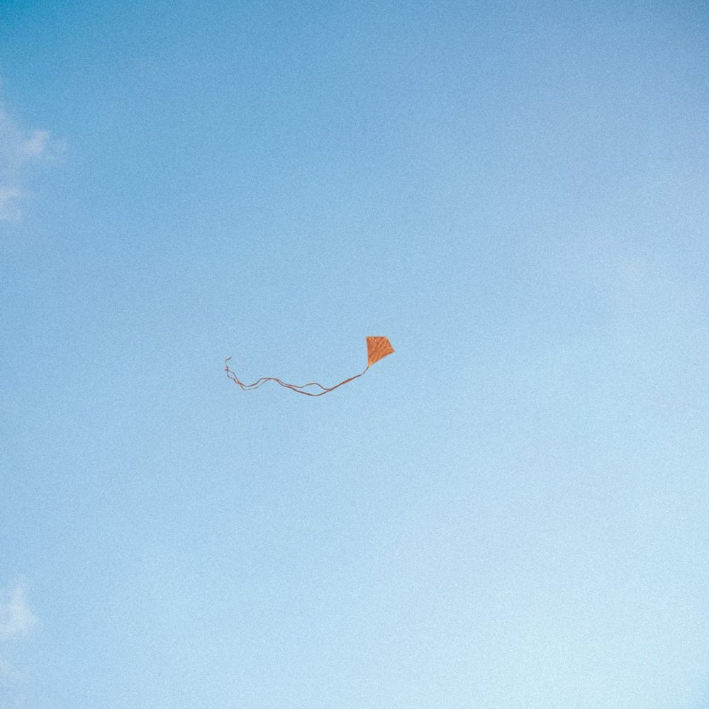 Chris Stussy - Lost, Found & Forgotten... (1 Per Customer) Vinyl
