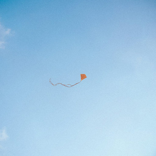 Chris Stussy - Lost, Found & Forgotten... (1 Per Customer) Vinyl