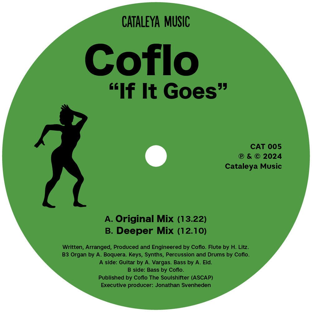 Coflo - If It Goes Vinyl