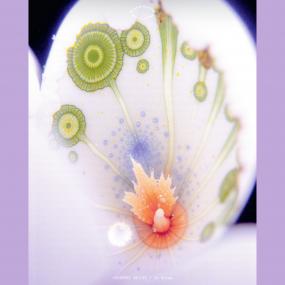 Courtney Bailey - In Dream Vinyl Vinly Record