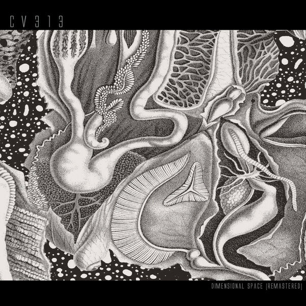 cv313 - dimensional space [remastered] Vinyl