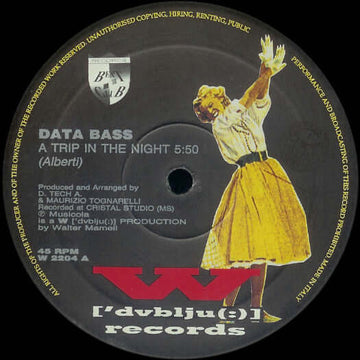Data Bass - A Trip In The Night Vinyl Vinly Record