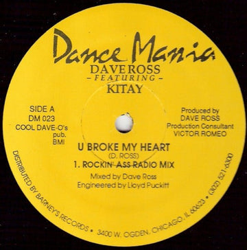 Dave Ross Featuring Kitay - U Broke My Heart Vinyl Vinly Record