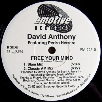 David Anthony Featuring Pedro Herrera - Free Your Mind Vinyl Vinly Record