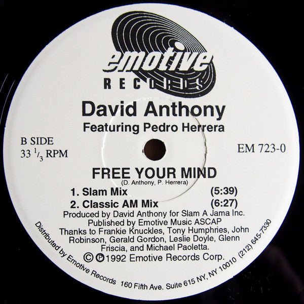 David Anthony Featuring Pedro Herrera - Free Your Mind Vinyl