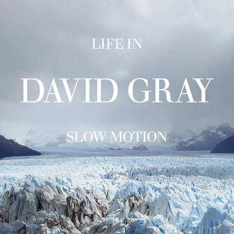 David Gray - Life In Slow Motion (Glacial Vinyl) Vinyl - Vinyl Record