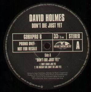 David Holmes - Don't Die Just Yet Vinyl Vinly Record