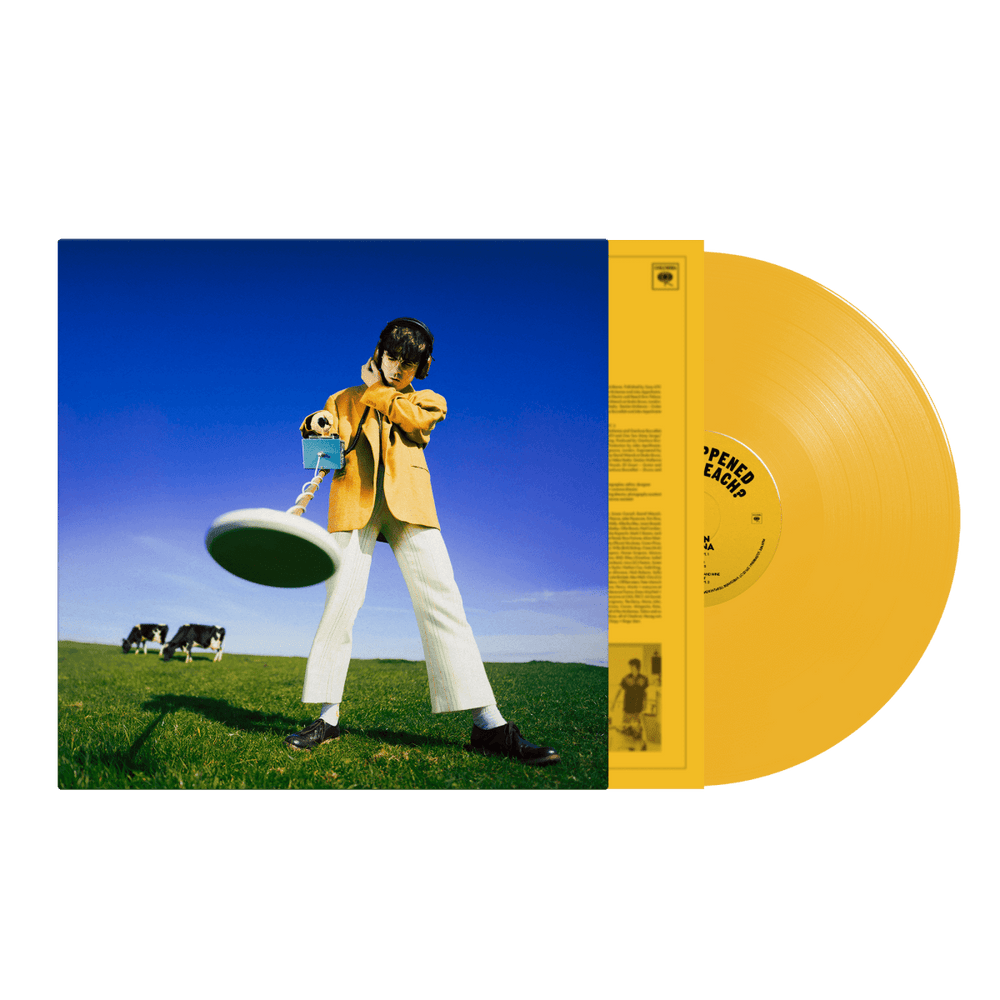 Declan McKenna - What Happened to the Beach? Vinyl