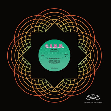Delfonic - Berlin Reworks Pt 2 Vinyl Vinly Record