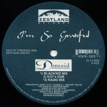 Densaid - I'm So Grateful / K.O.T. Anthem (Remix) Vinyl Vinly Record