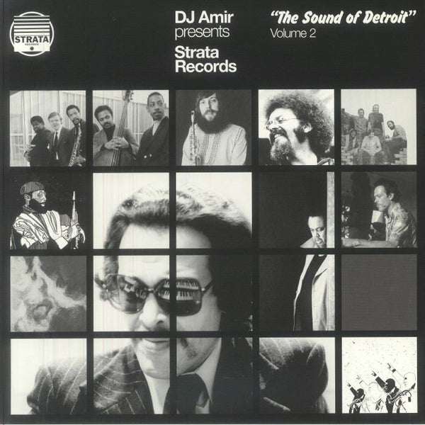 DJ Amir / Various Artists - Strata Records: The Sound Of Detroit Vol 2 Vinyl
