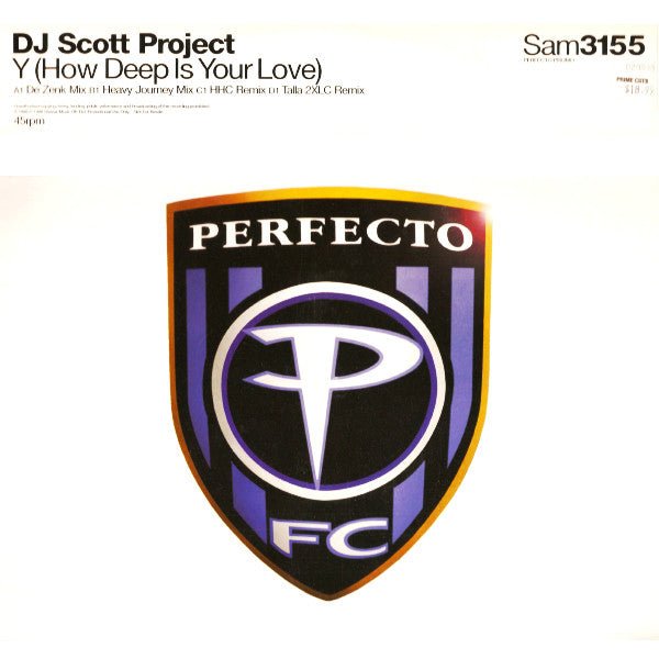 DJ Scott Project - Y (How Deep Is Your Love) Vinyl