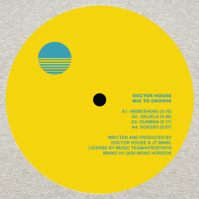 Doctor House - Mix To Groove Vinyl - Vinyl Record