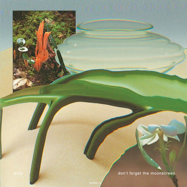 Dolly - Don't Forget the Moonscreen Vinyl