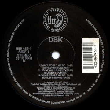 DSK - What Would We Do Vinyl Vinly Record