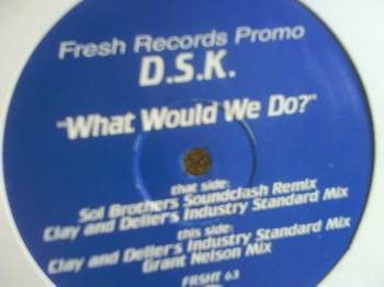DSK - What Would We Do? Vinyl Vinly Record