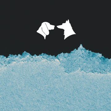 Ebb & Akcept - Wild Wood Vinyl Vinly Record