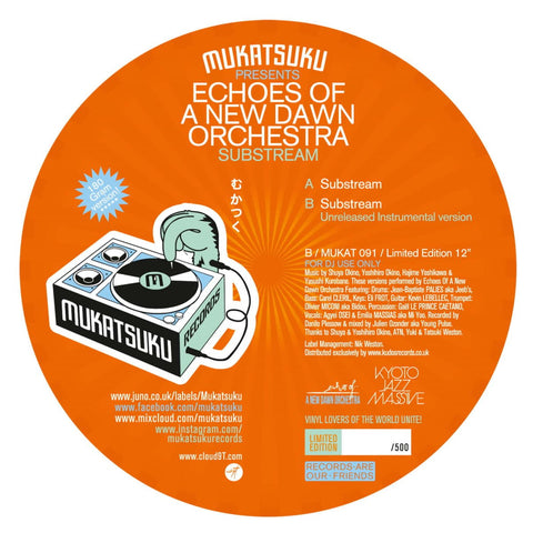 Echoes Of A New Dawn Orchestra - Substream Vinyl - Vinyl Record