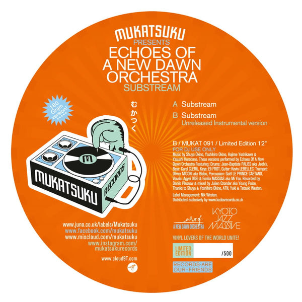 Echoes Of A New Dawn Orchestra - Substream Vinyl