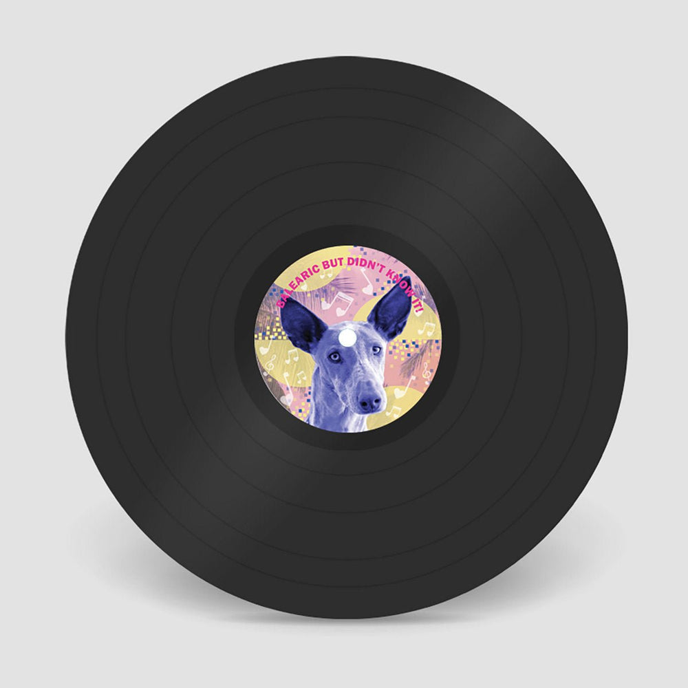 Eclectic Journeys - Melodies Of Love 004 Vinyl