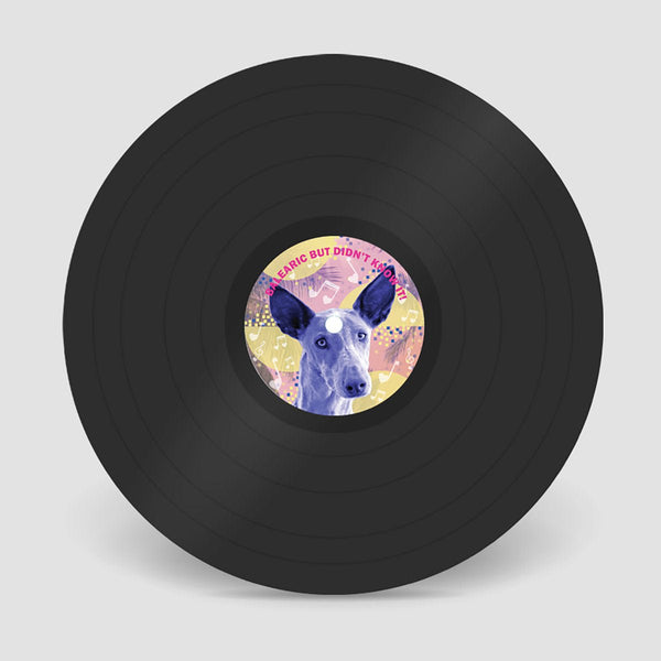 Eclectic Journeys - Melodies Of Love 004 Vinyl