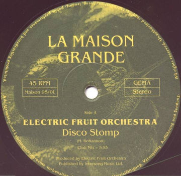 Electric Fruit Orchestra - Disco Stomp Vinyl Vinly Record