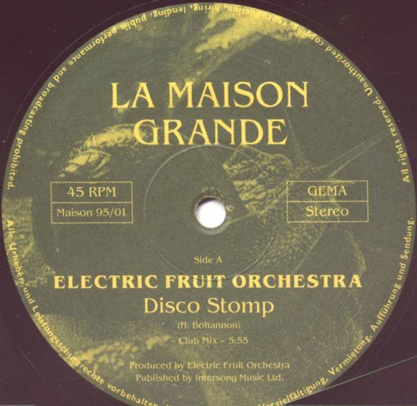 Electric Fruit Orchestra - Disco Stomp Vinyl
