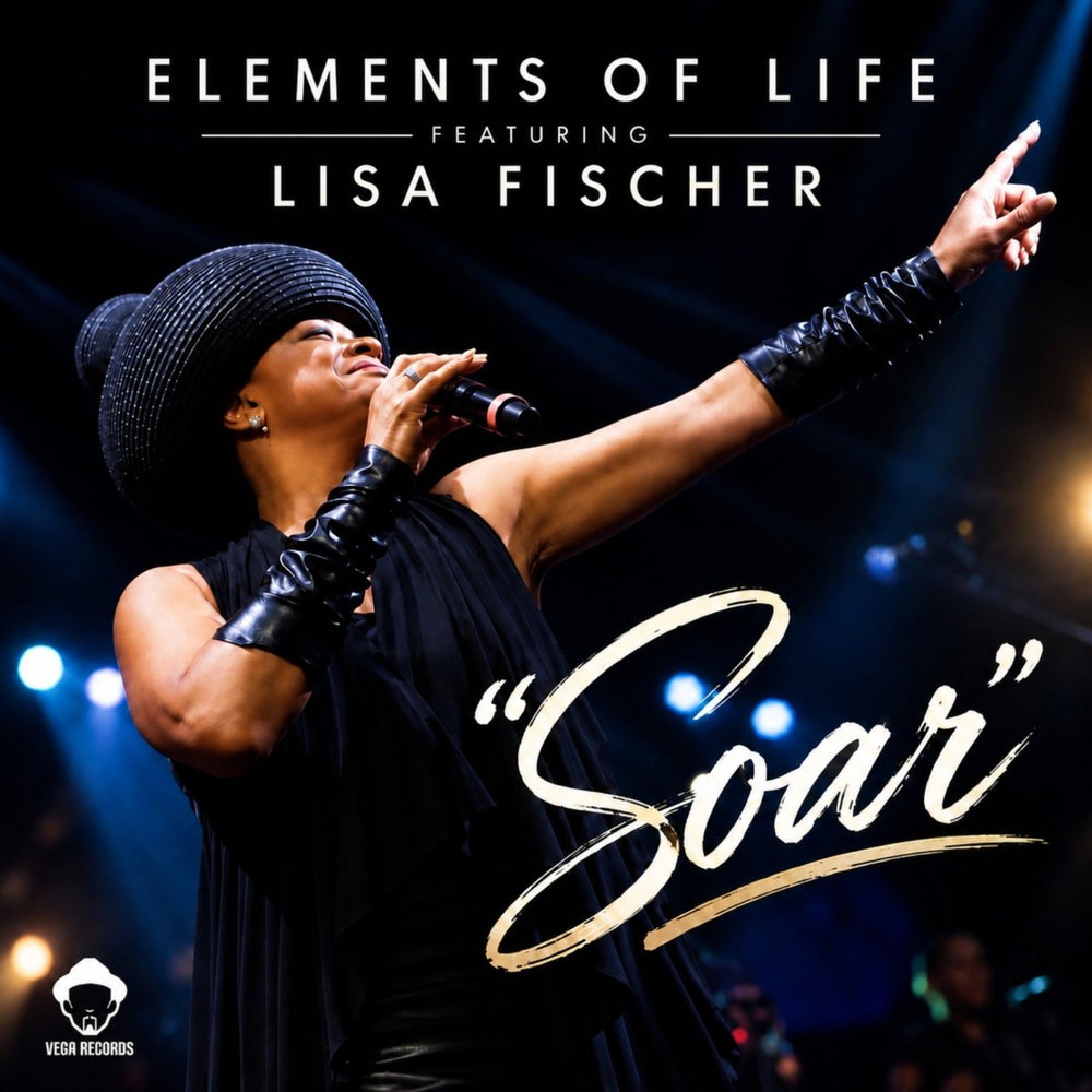 Elements Of Life feat. Lisa Fischer - Soar Vinyl