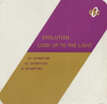 Evolution - Look Up To The Light Vinyl Vinly Record