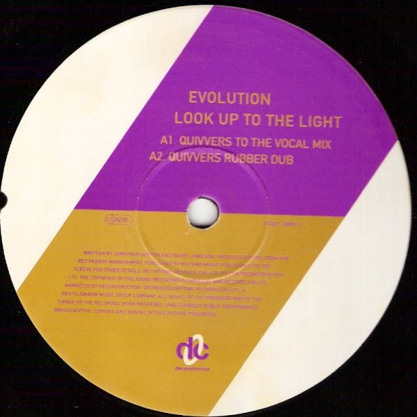 Evolution - Look Up To The Light Vinyl