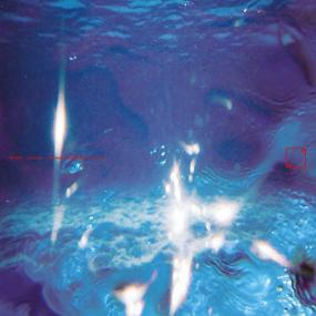 Fabiano Do Nascimento & E Ruscha V - Aquáticos Vinyl
