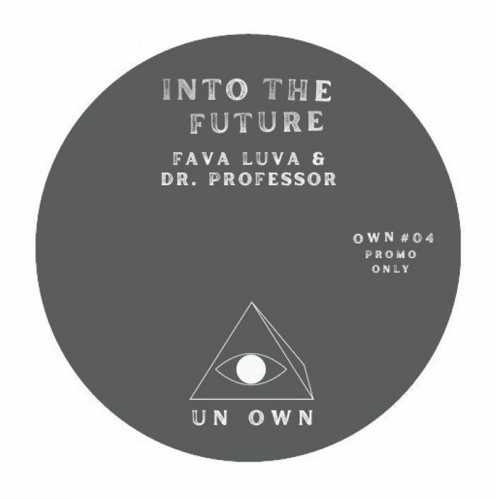 Fava Luva & Dr. Professor - Into The Future Vinyl