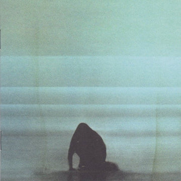Foals - What Went Down (CD) Vinyl Vinly Record