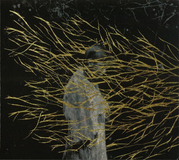 Forest Swords - Engravings (CD) (CD)