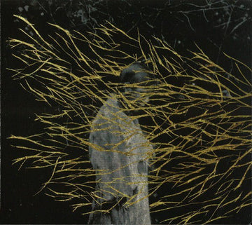 Forest Swords - Engravings (CD) (CD) Vinyl Vinly Record