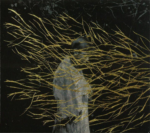 Forest Swords - Engravings (CD) (CD) Vinyl - Vinyl Record