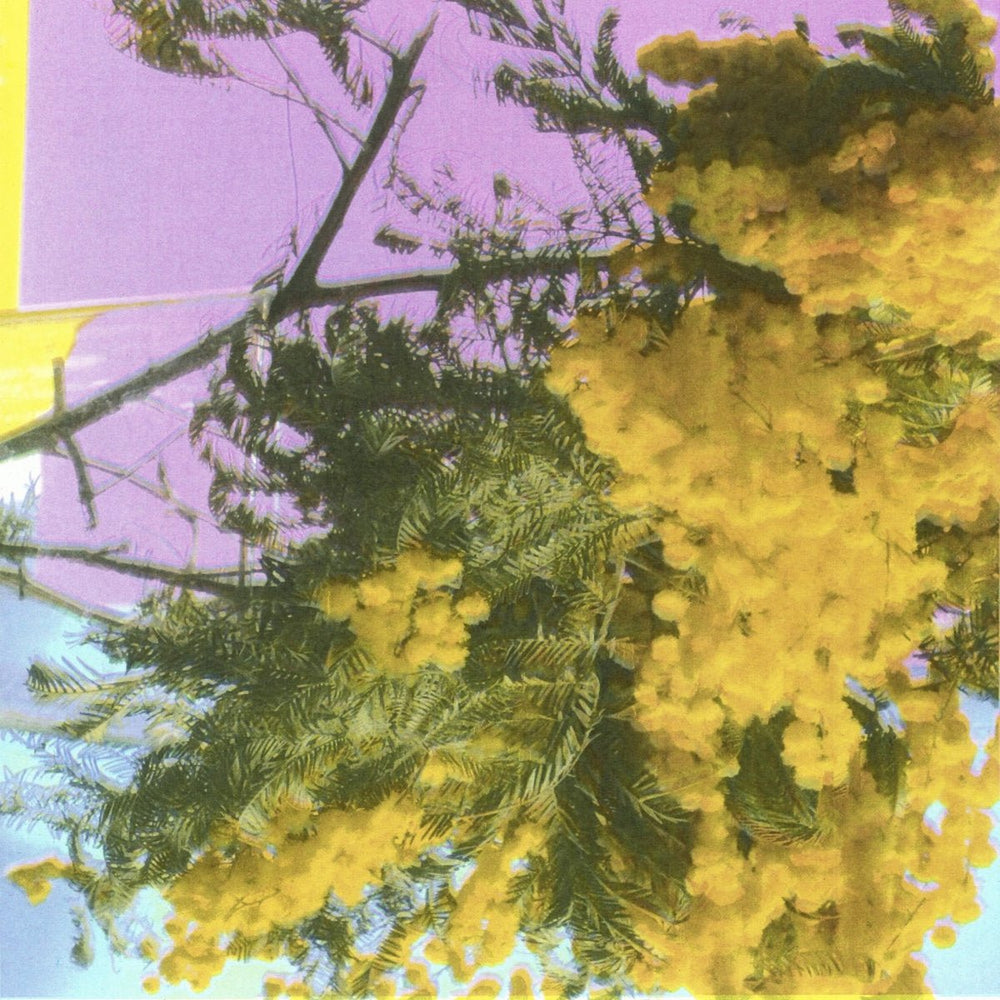 Four Tet - Into Dust (Still Falling) Vinyl