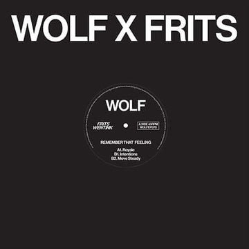 Frits Wentink - Remember that Feeling Vinyl Vinly Record